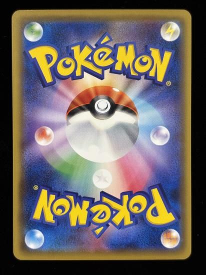 【状態A】●ガーディ(017/087)