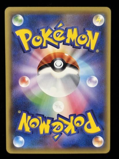 【状態A】●ドードー(067/087)