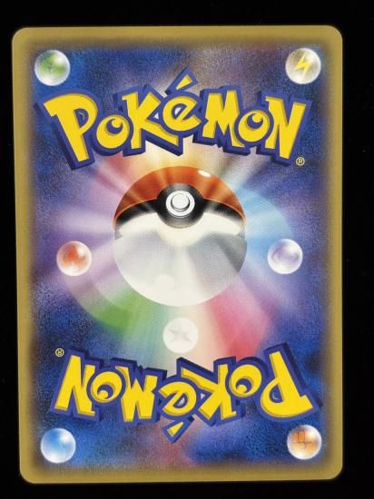 【状態A】●ドードー(067/087)