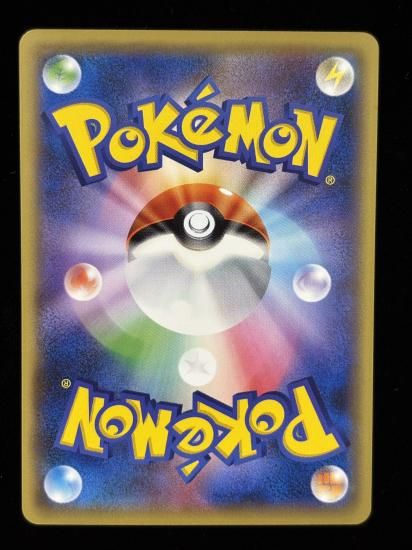 【状態A】●ドードー(067/087)