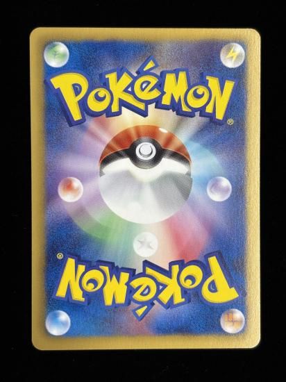 【状態B】●ミジュマル(029/093)