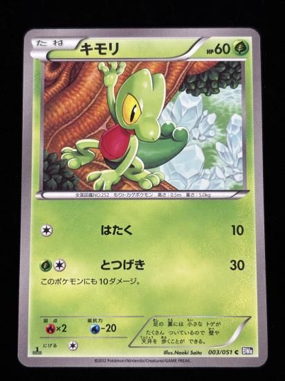 【状態A】●キモリ(003/051)