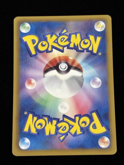 【状態A】●キモリ(003/051)