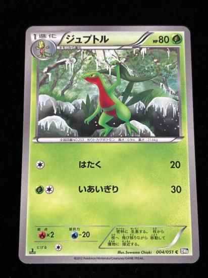 【状態A】●ジュプトル(004/051)