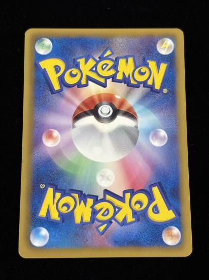 【状態A】●ニドラン♂(021/051)