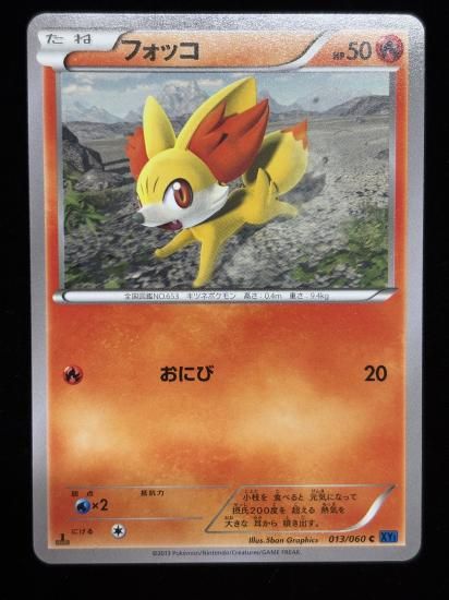 【状態A】●フォッコ(013/060)