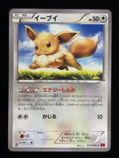 【状態A】●イーブイ(075/096)