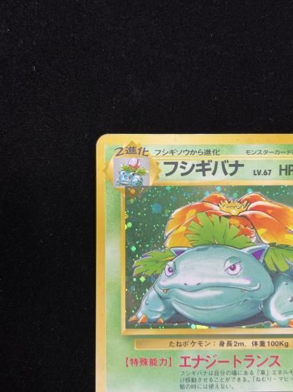 【状態C】●フシギバナ(旧裏)