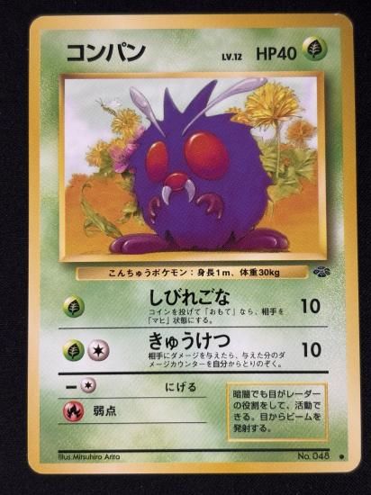 【状態B】●コンパン(旧裏)