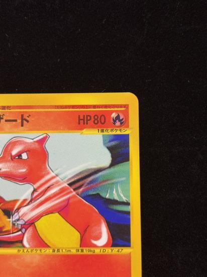 【状態A】●リザード(007/048)