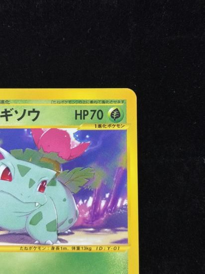 【状態A】●フシギソウ(001/048)