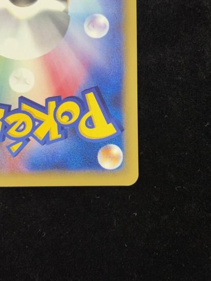 【状態A】●フシギソウ(001/048)