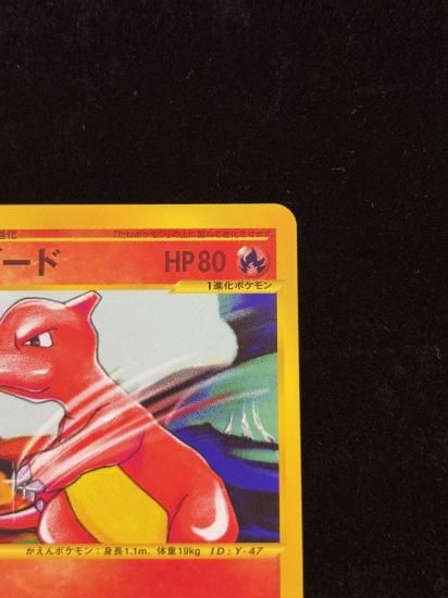 【状態A】●リザード(007/048)