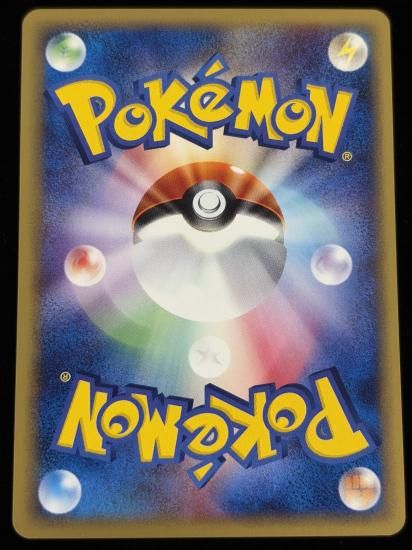 【状態A】●ニドラン♂(002/048)