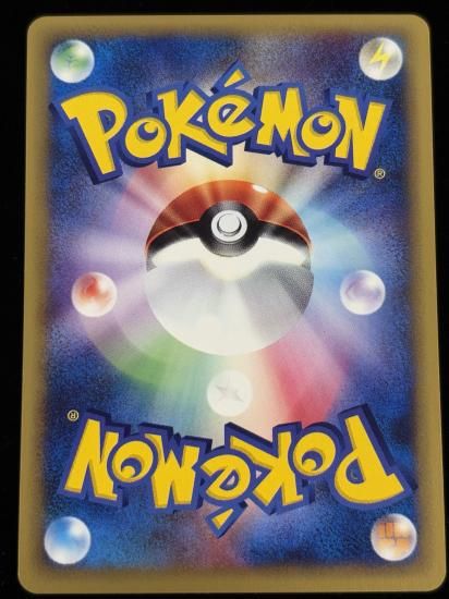 【状態A】●ニドラン♂(002/048)