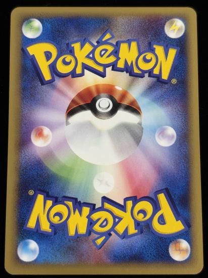 【状態A】●モルフォン(019/048)