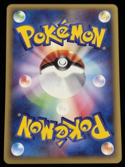 【状態A】●ニドラン♂(002/048)