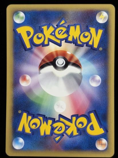 【状態B】●イブキのワザマシン01(117/141)