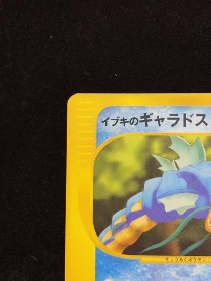 【状態B】●イブキのギャラドス(048/141)