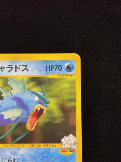 【状態B】●イブキのギャラドス(048/141)