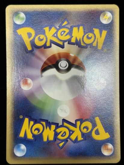 【状態B】●フシギソウ(003/029)