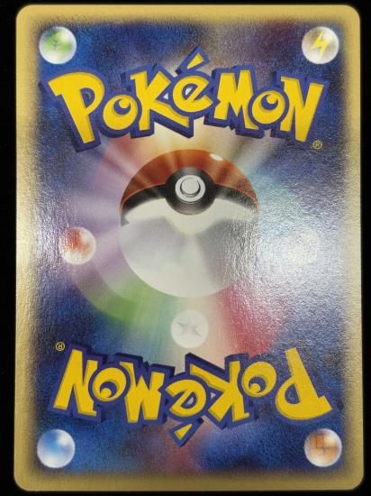 【状態B】●ベイリーフ(007/029)