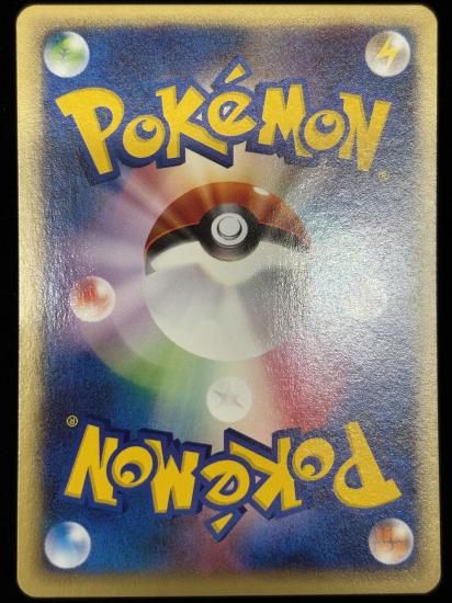 【状態A】●ベイリーフ(007/029)