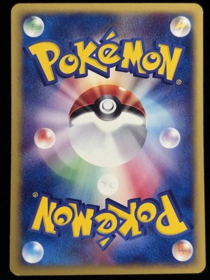 【状態C】●ニドラン♂(001/092)