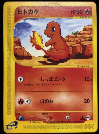 【状態C】●ヒトカゲ(009/029)