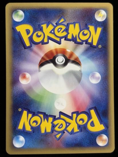 【状態C】●ヒトカゲ(009/029)