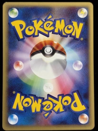 【状態C】●ベイリーフ(007/029)