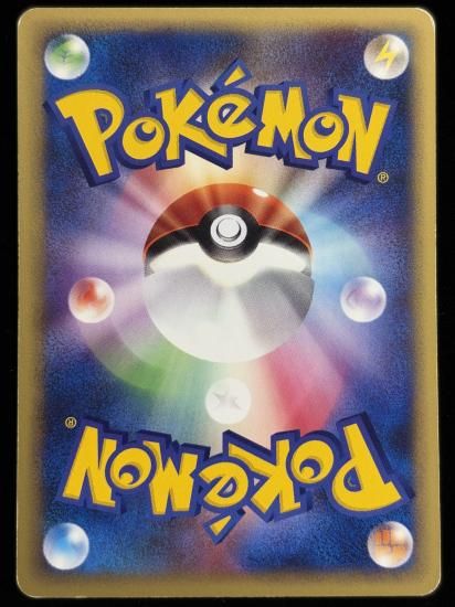 【状態C】●ポケモンいれかえ(134/141)