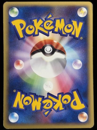 【状態C】●ハヤトのオニドリル(002/141)