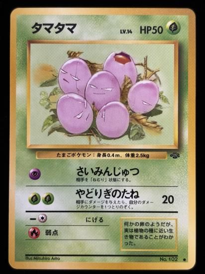 【状態B】●タマタマ(旧裏)