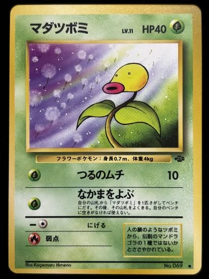 【状態A】●マダツボミ(旧裏)