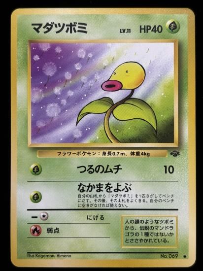 【状態A】●マダツボミ(旧裏)