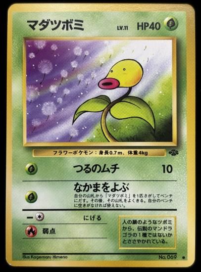 【状態A】●マダツボミ(旧裏)