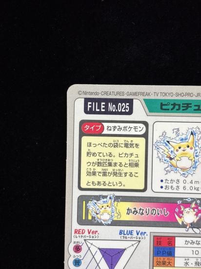 【状態A】●No.025ピカチュウ