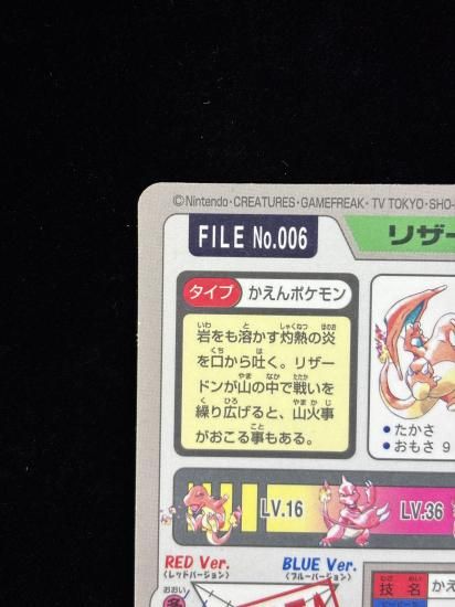 【状態A】●No.006リザードン