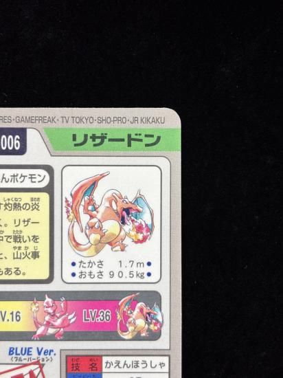 【状態A】●No.006リザードン