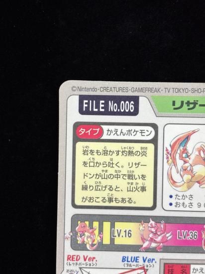 【状態A】●No.006リザードン