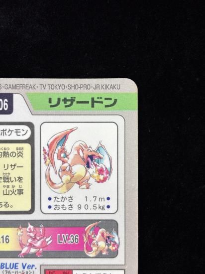 【状態A】●No.006リザードン