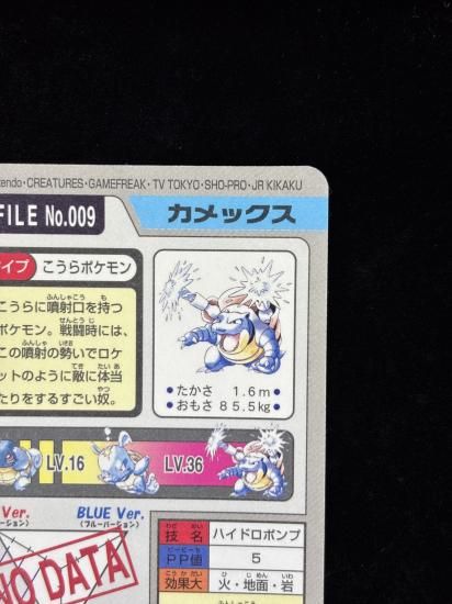 【状態A-】●No.009カメックス
