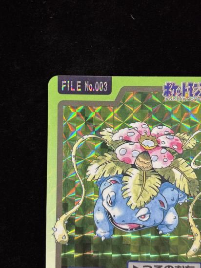 【状態B】●No.003フシギバナ