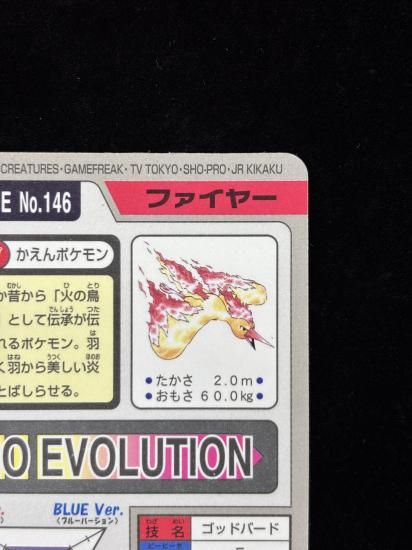 【状態B】●No.146ファイヤー