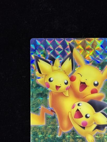 【状態A-】●ずかんカードピカチュウ＆ピチュー兄弟
