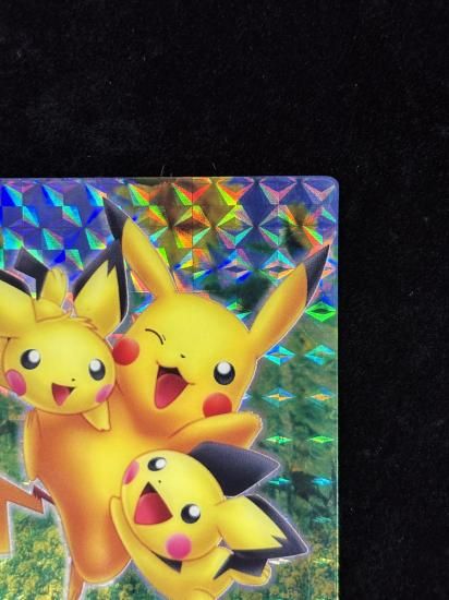 【状態A-】●ずかんカードピカチュウ＆ピチュー兄弟