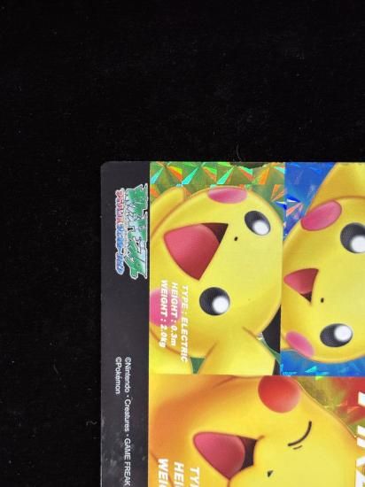 【状態A-】●ずかんカードピカチュウ＆ピチュー兄弟