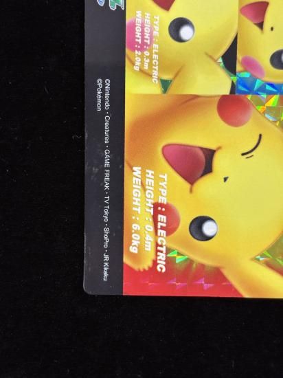 【状態A-】●ずかんカードピカチュウ＆ピチュー兄弟