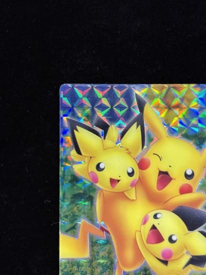【状態A-】●ずかんカードピカチュウ＆ピチュー兄弟